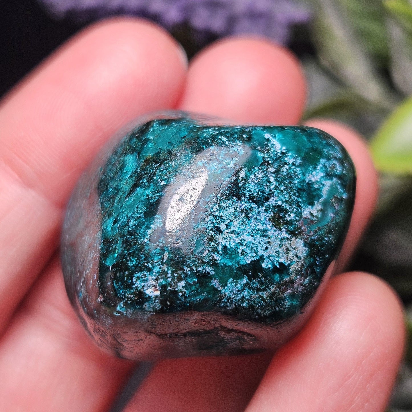 Polished Dioptase Crystal from the Congo 38.36g, Congo Dioptase Specimen, DRC Dioptase Crystal