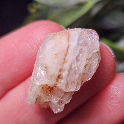 Phenacite Crystal Specimen 4.87g