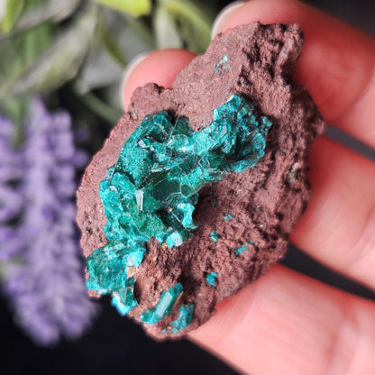 Dioptase Crystal Specimen 15.48g, Raw Congo Dioptase Stone