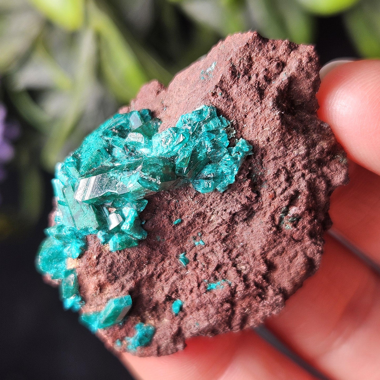 Dioptase Crystal Specimen 15.48g, Raw Congo Dioptase Stone