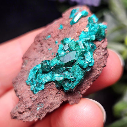 Dioptase Crystal Specimen 15.48g, Raw Congo Dioptase Stone