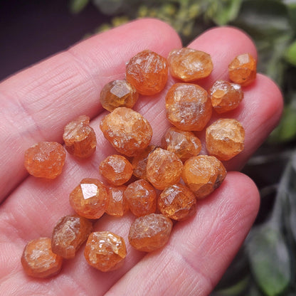 Spessartine Garnet Crystal from Tanzania, Tanzanian Orange Garnet Specimen