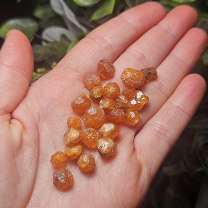 Spessartine Garnet Crystal from Tanzania, Tanzanian Orange Garnet Specimen