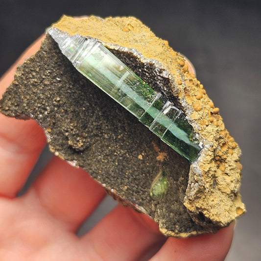 Vivianite PHANTOM Crystal with Ludlamite Specimen 38.12g, Vivianite Crystal Cluster, Raw Blue