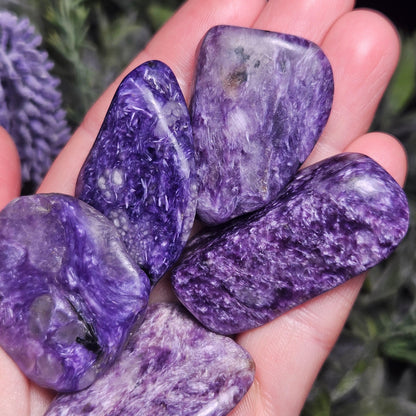 Charoite Polished Stones 15