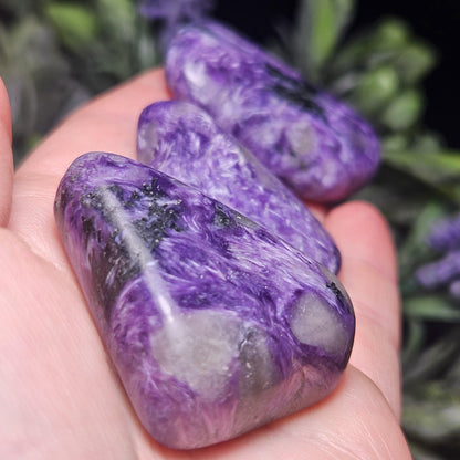 Charoite Polished Stones 15