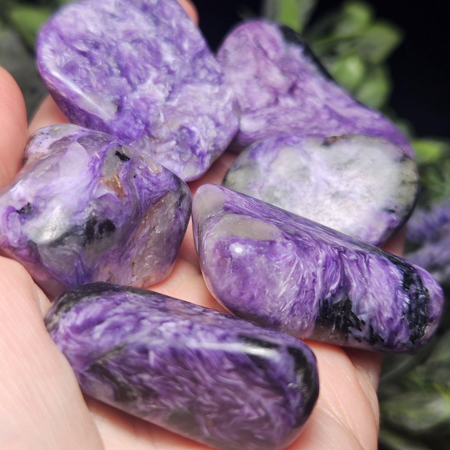 Charoite Polished Stones 15