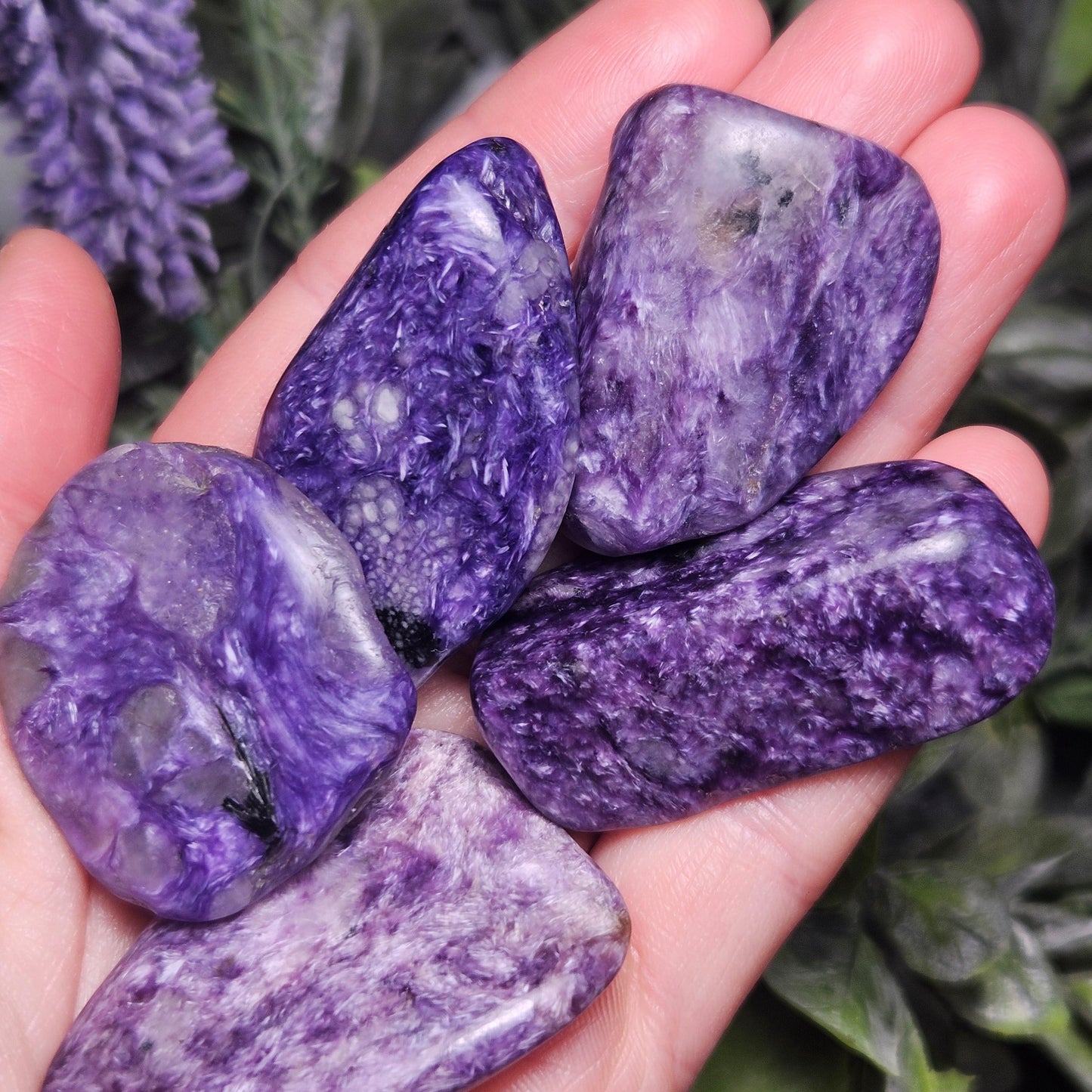 Charoite Polished Stones 15