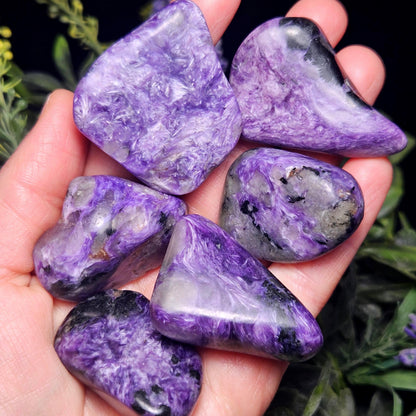 Charoite Polished Stones 15