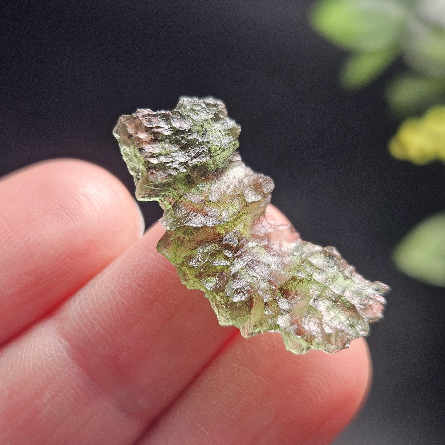 Besednice "Hedgehog" Moldavite 1.86g