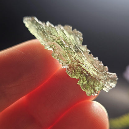 Moldavite Besednice "Hedgehog" Crystal 1.75g