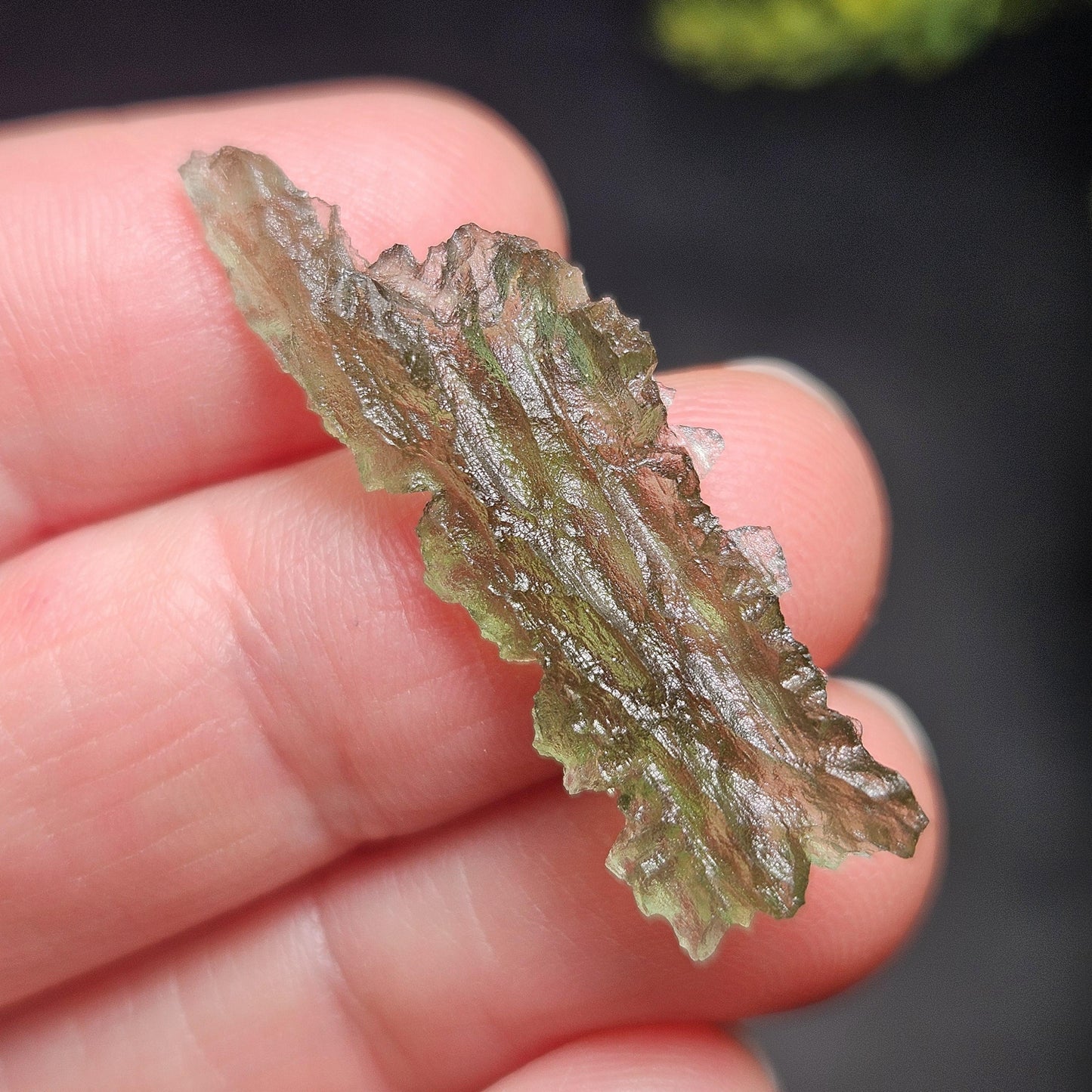 Moldavite Besednice "Hedgehog" Crystal 1.75g