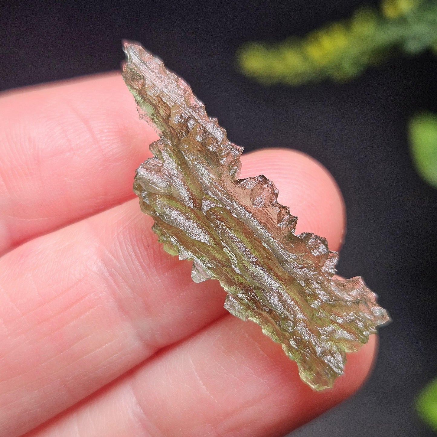 Moldavite Besednice "Hedgehog" Crystal 1.75g