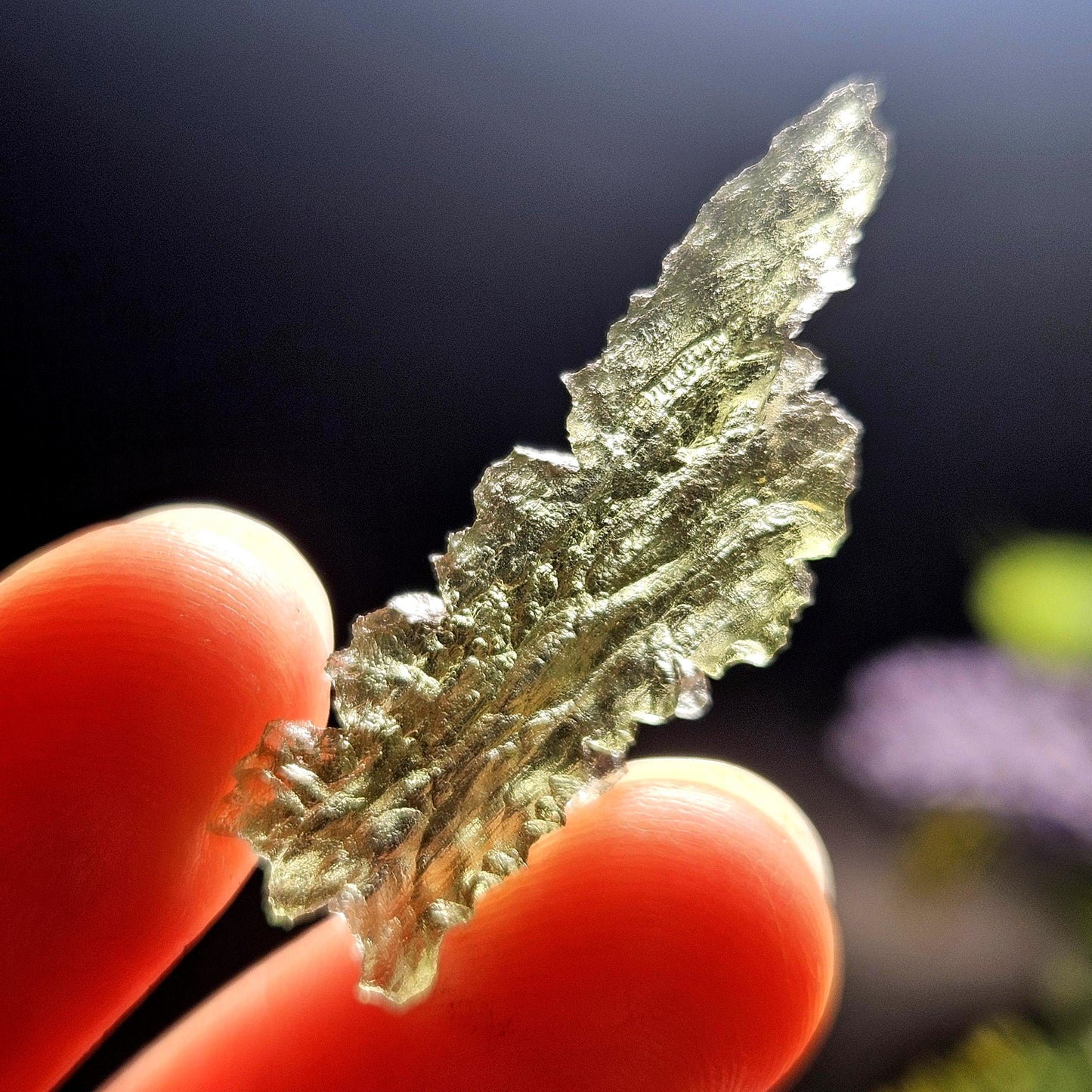 Moldavite Besednice "Hedgehog" Crystal 1.75g