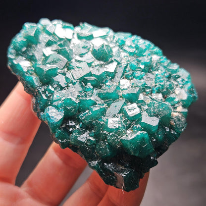 Dioptase Crystal Cluster from Congo 97.81g