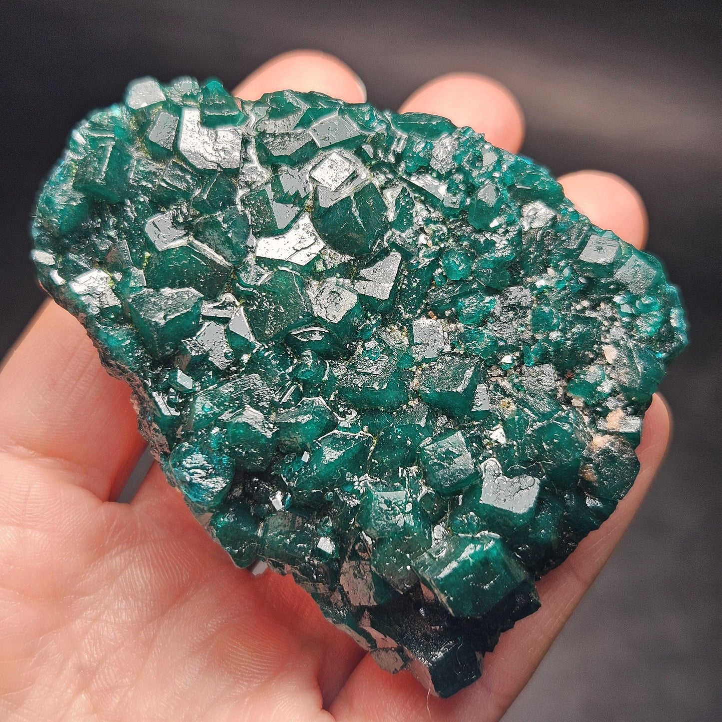 Dioptase Crystal Cluster from Congo 97.81g