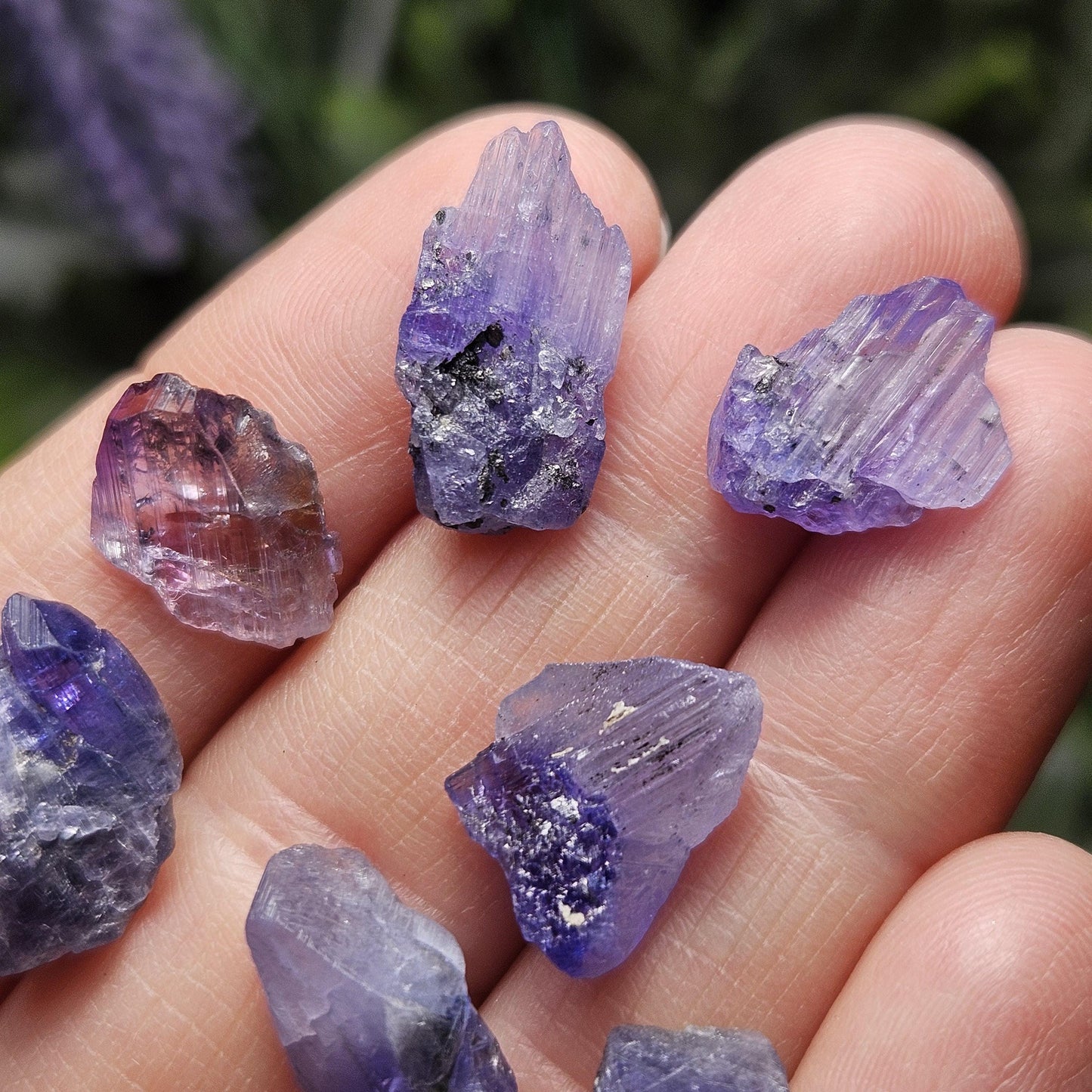 Raw Tanzanite Crystal Specimen (5