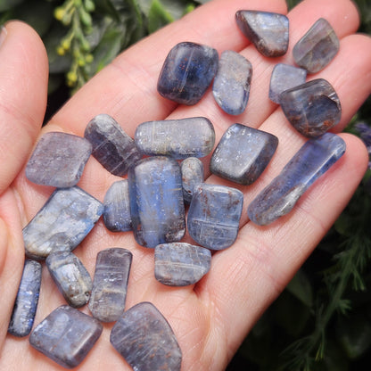 Tanzanian Blue Kyanite Polished Crystal
