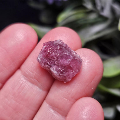 Pink Tourmaline Crystal, Raw Crystal from Brazil