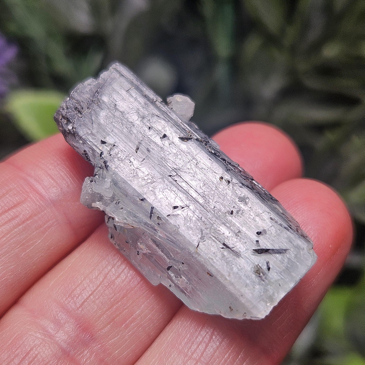 Aquamarine with Black Tourmaline Needle Inclusions, 11.47 grams