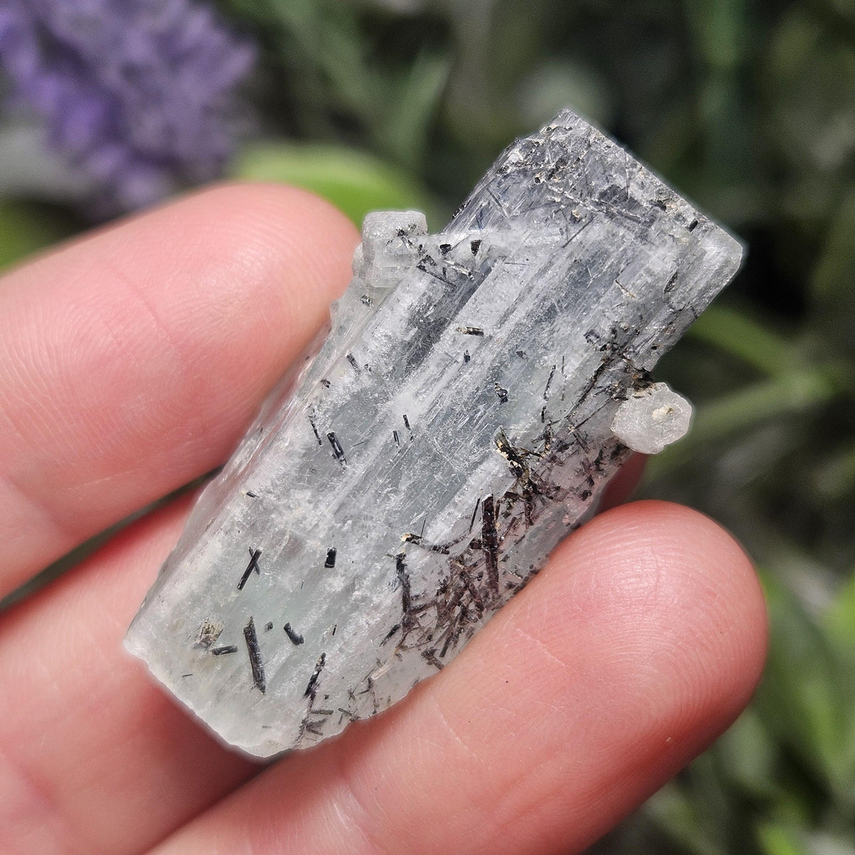 Aquamarine with Black Tourmaline Needle Inclusions, 11.47 grams