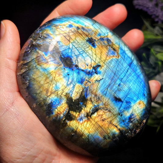 MASSIVE Labradorite Palm Stone 1.19lbs, Madagascar Labradorite Polished Crystal