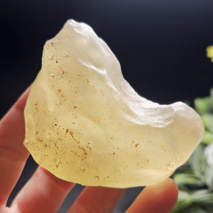HUGE Libyan Desert Glass Specimen 147.33g