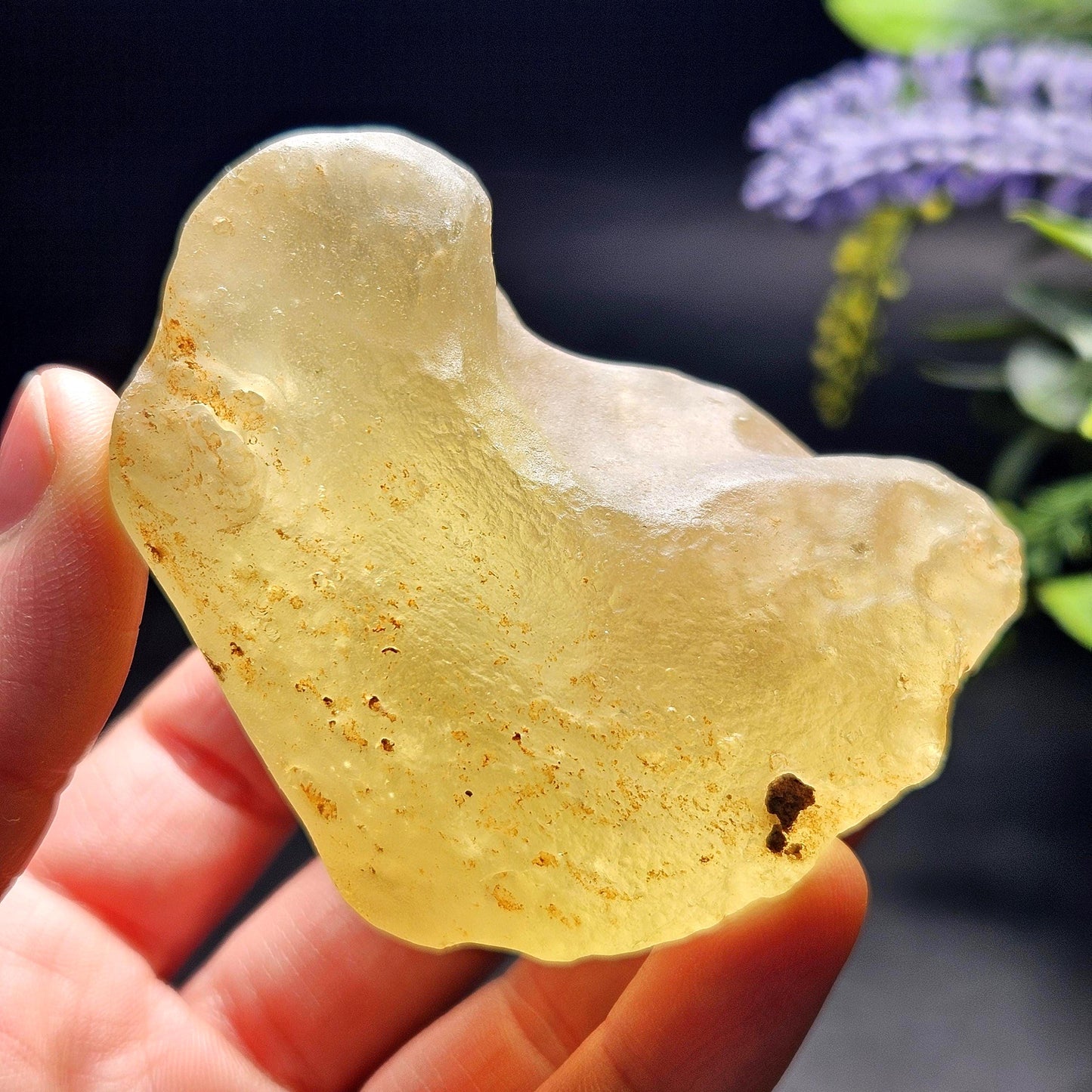 HUGE Libyan Desert Glass Specimen 147.33g