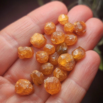 Spessartine Garnet Crystal from Tanzania, Tanzanian Orange Garnet Specimen