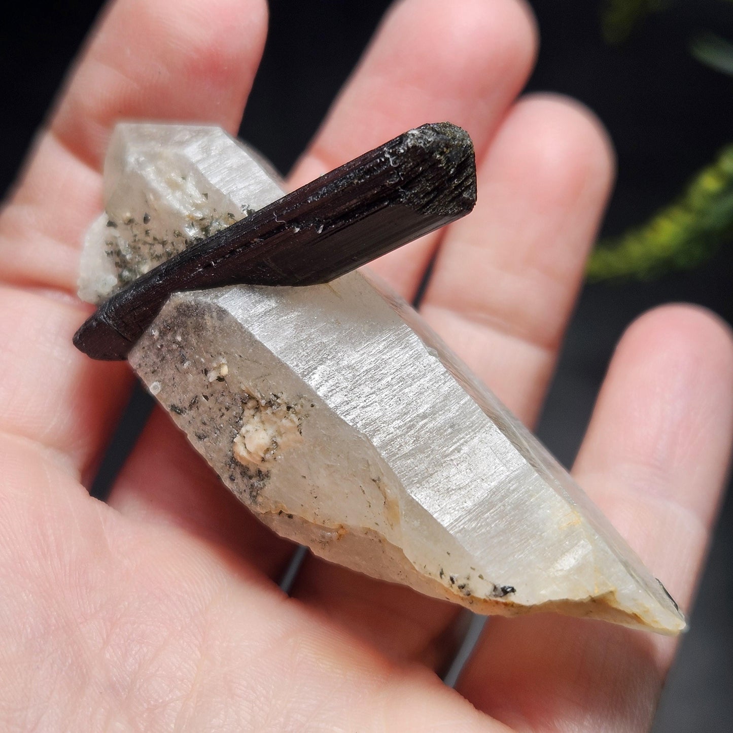 Black Tourmaline in Quartz Crystal 46.90g, Brazilian Quartz with Tourmaline, Black Tourmaline Specimen, Tourmaline Crystal