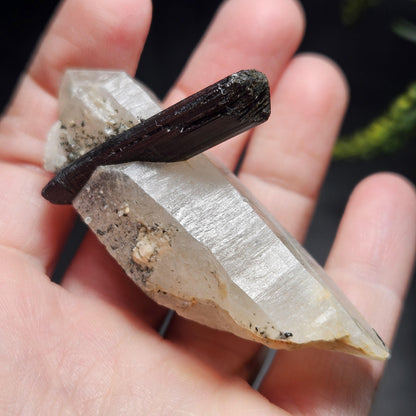 Black Tourmaline in Quartz Crystal 46.90g, Brazilian Quartz with Tourmaline, Black Tourmaline Specimen, Tourmaline Crystal