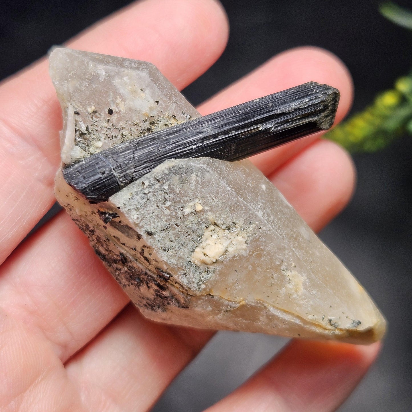 Black Tourmaline in Quartz Crystal 46.90g, Brazilian Quartz with Tourmaline, Black Tourmaline Specimen, Tourmaline Crystal
