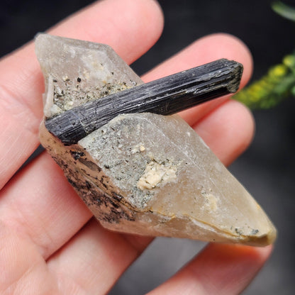 Black Tourmaline in Quartz Crystal 46.90g, Brazilian Quartz with Tourmaline, Black Tourmaline Specimen, Tourmaline Crystal