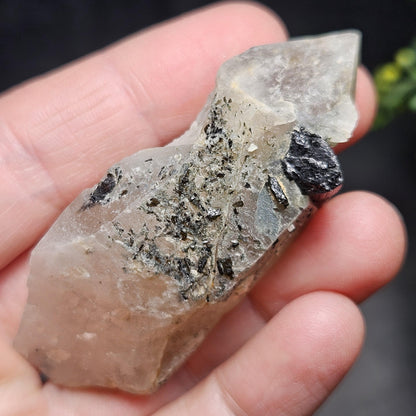 Black Tourmaline in Quartz Crystal 46.90g, Brazilian Quartz with Tourmaline, Black Tourmaline Specimen, Tourmaline Crystal