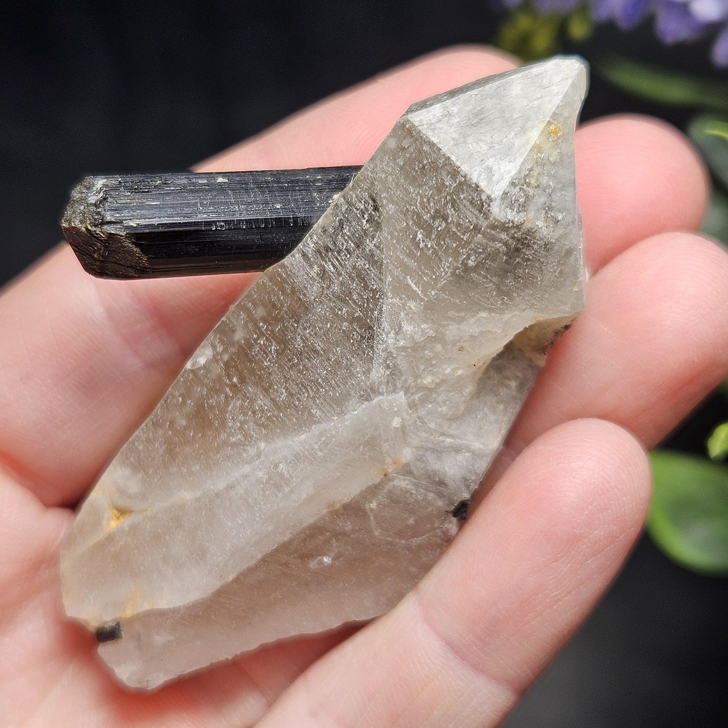Black Tourmaline in Quartz Crystal 46.90g, Brazilian Quartz with Tourmaline, Black Tourmaline Specimen, Tourmaline Crystal