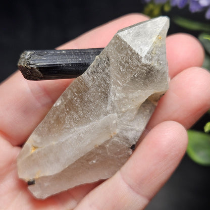 Black Tourmaline in Quartz Crystal 46.90g, Brazilian Quartz with Tourmaline, Black Tourmaline Specimen, Tourmaline Crystal
