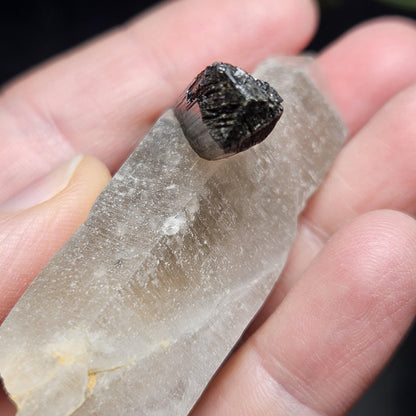 Black Tourmaline in Quartz Crystal 46.90g, Brazilian Quartz with Tourmaline, Black Tourmaline Specimen, Tourmaline Crystal
