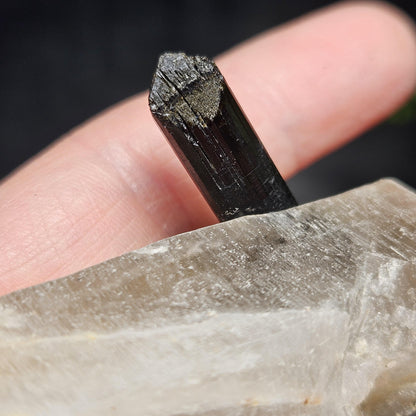 Black Tourmaline in Quartz Crystal 46.90g, Brazilian Quartz with Tourmaline, Black Tourmaline Specimen, Tourmaline Crystal