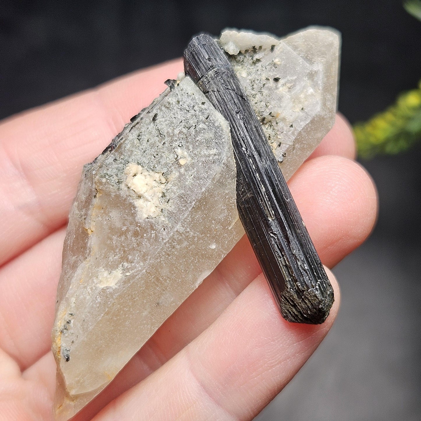Black Tourmaline in Quartz Crystal 46.90g, Brazilian Quartz with Tourmaline, Black Tourmaline Specimen, Tourmaline Crystal