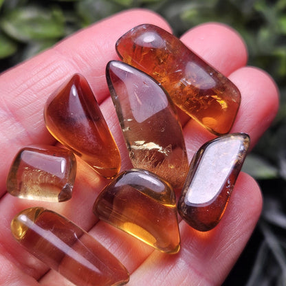 Natural Citrine Tumbled Crystal, Congo Citrine, Untreated Citrine Tumble Stone Specimen