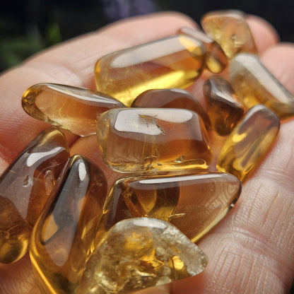 Natural Citrine Tumbled Crystal, Congo Citrine, Untreated Citrine Tumble Stone Specimen