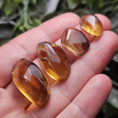Natural Citrine Tumbled Crystal, Congo Citrine, Untreated Citrine Tumble Stone Specimen