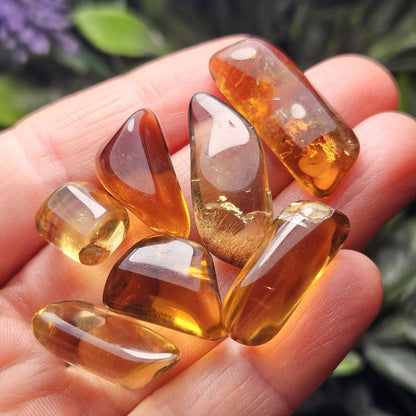 Natural Citrine Tumbled Crystal, Congo Citrine, Untreated Citrine Tumble Stone Specimen