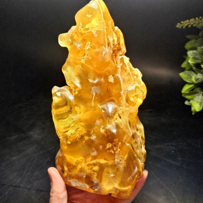 HUGE Amber with Moving Enhydro Bubble & Insect Inclusions 1.17lb