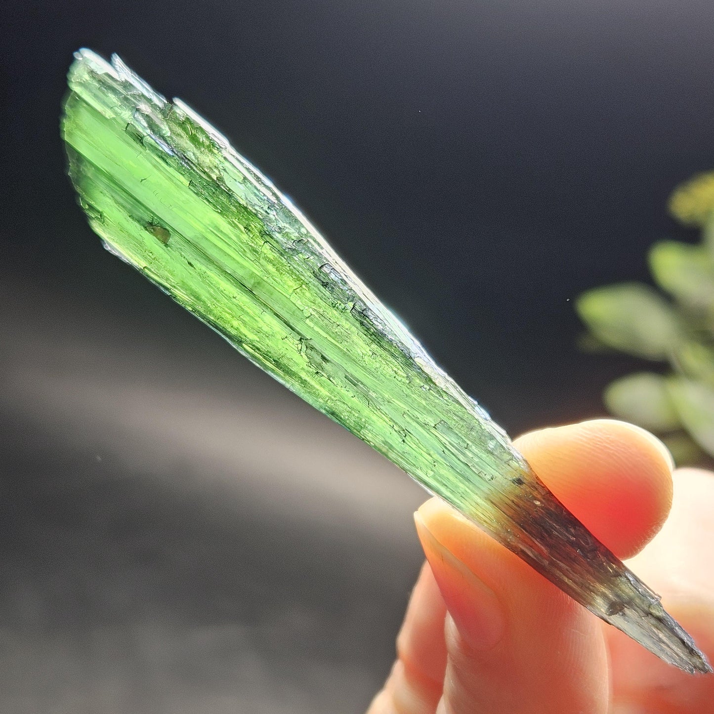 AAA Vivianite Crystal Specimen 8.94g, Terminated Vivianite Crystal, Raw Blue