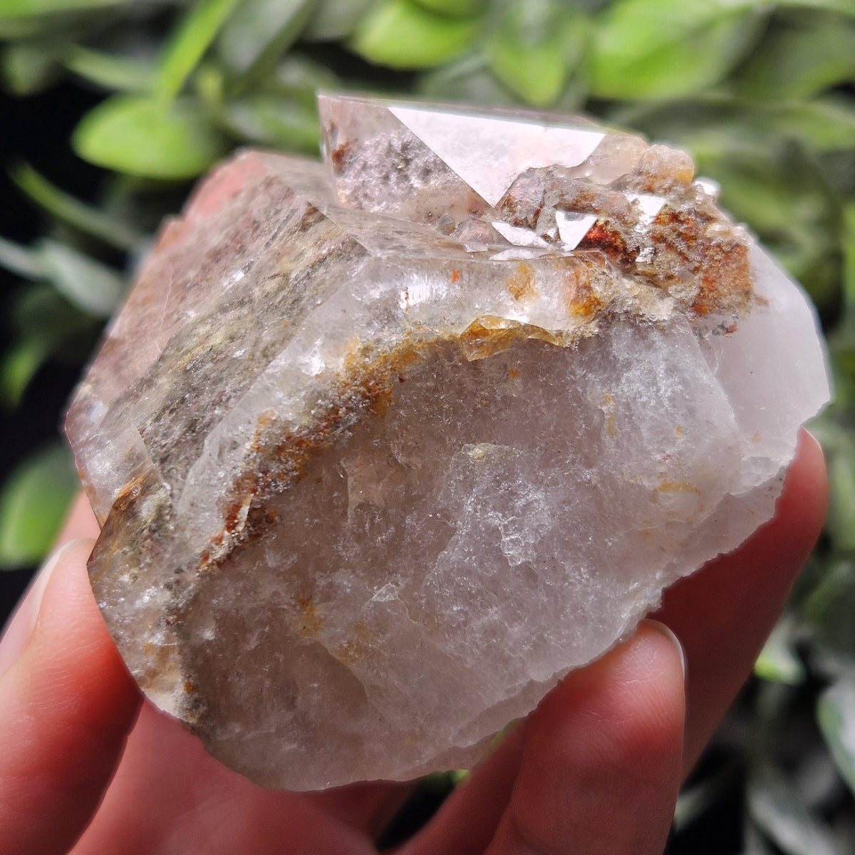 Garden Quartz Crystal 186g, Brazilian Lodolite Specimen
