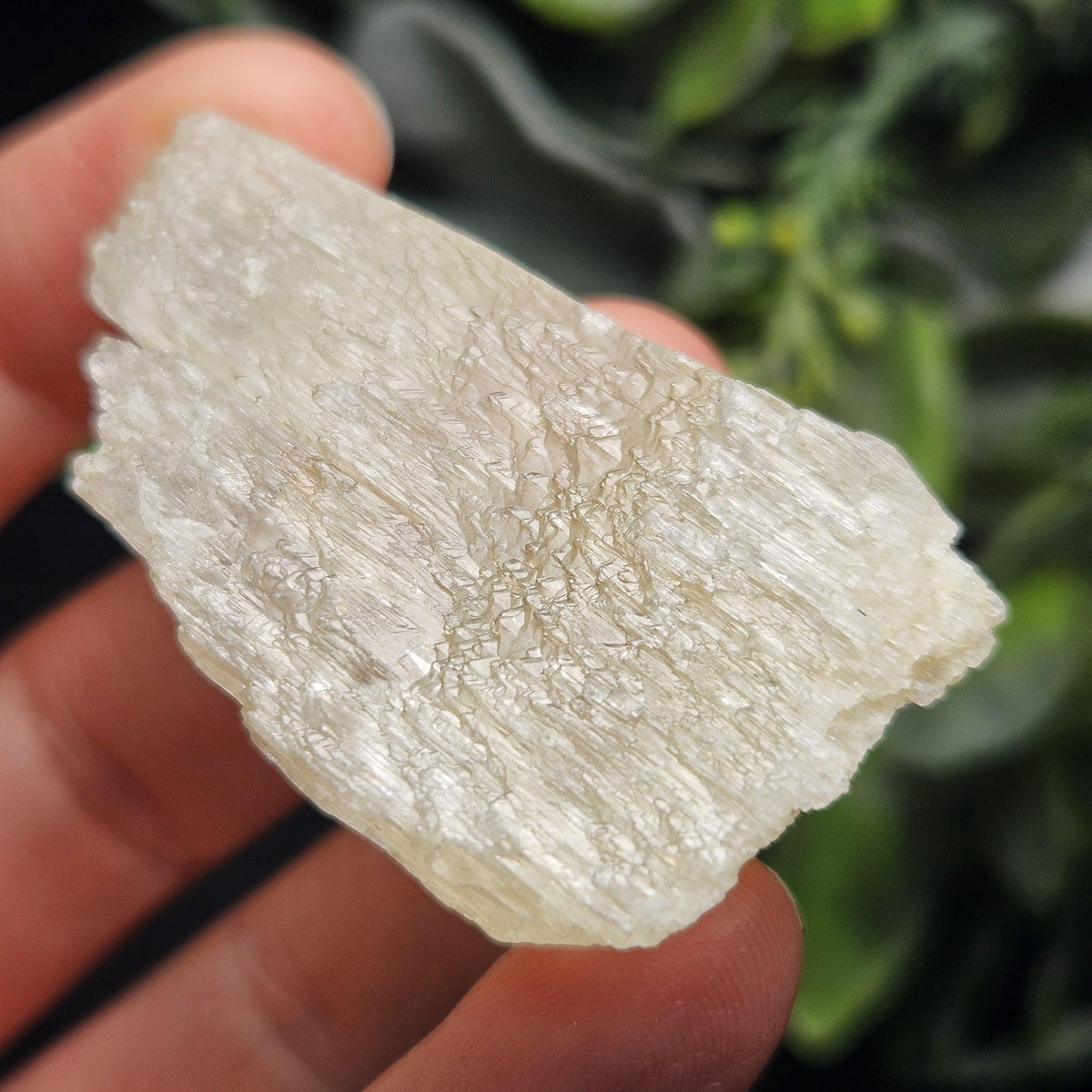 Etched Yellow Kunzite Crystal 25.16g