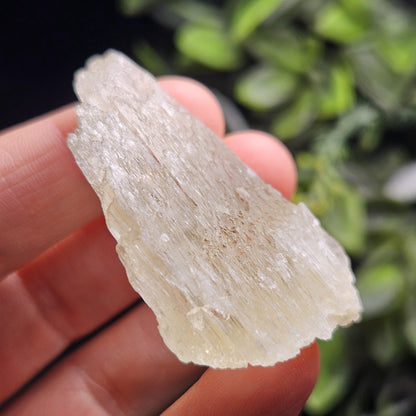 Etched Yellow Kunzite Crystal 25.16g