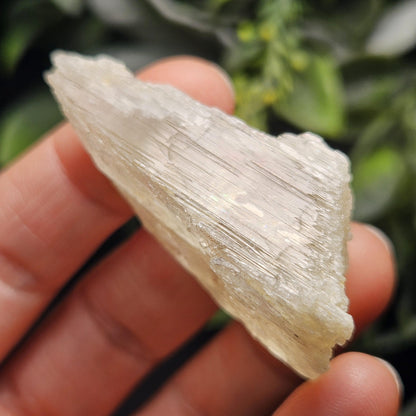 Etched Yellow Kunzite Crystal 25.16g