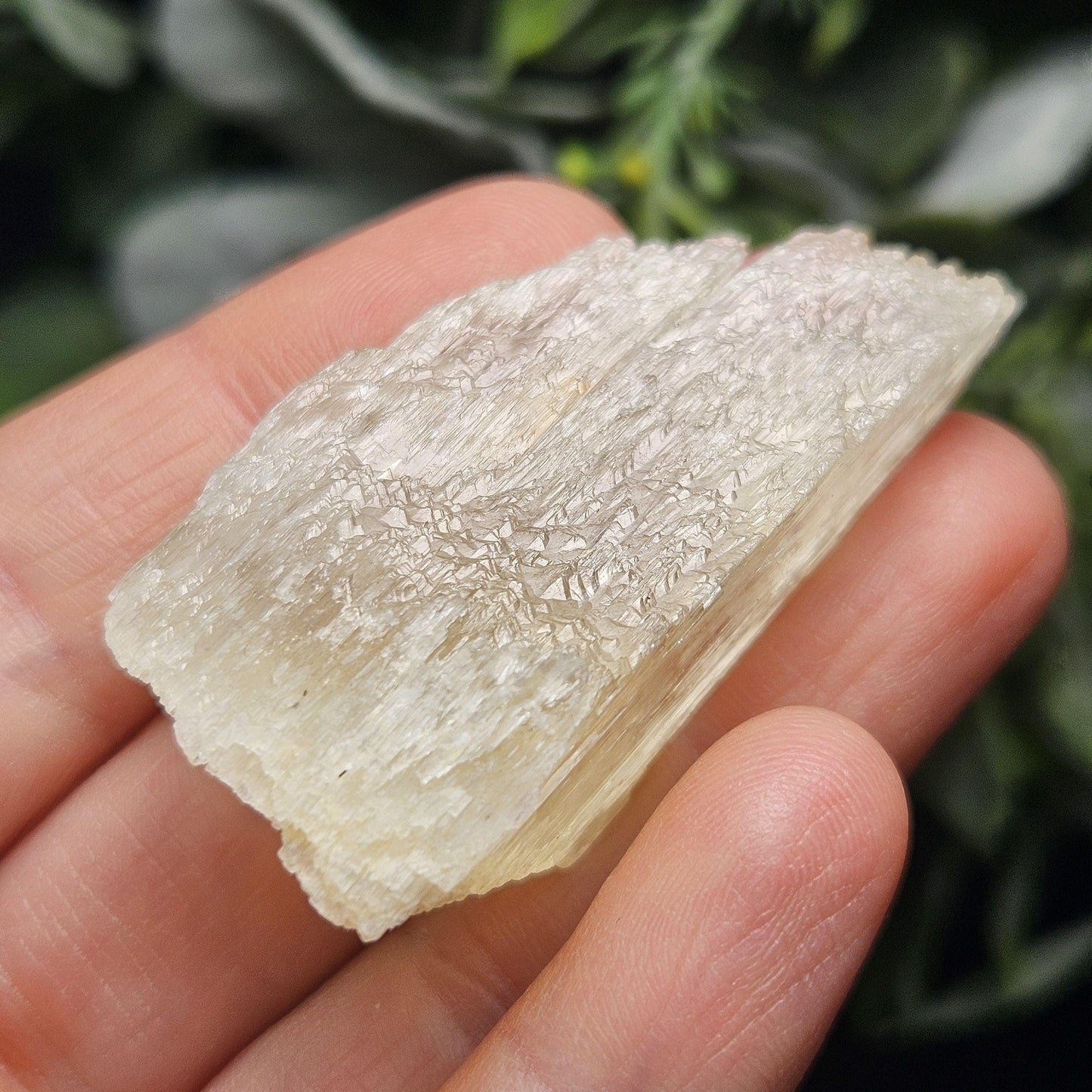 Etched Yellow Kunzite Crystal 25.16g